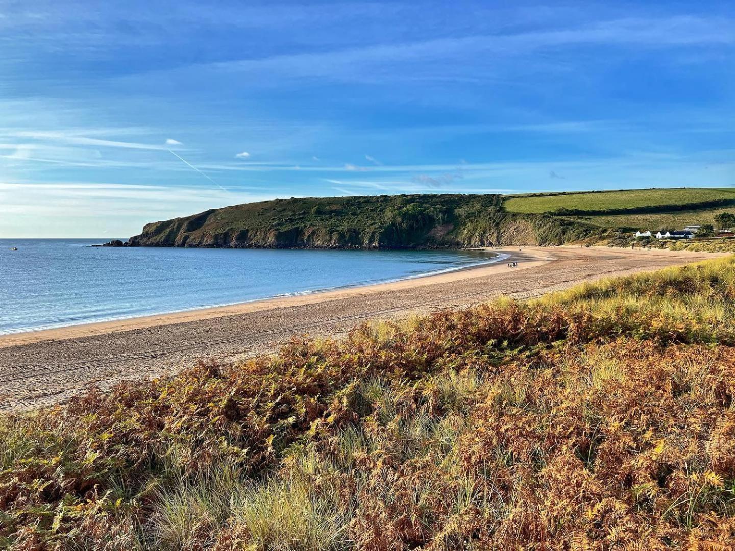 Woods Coastal Path Holiday home *