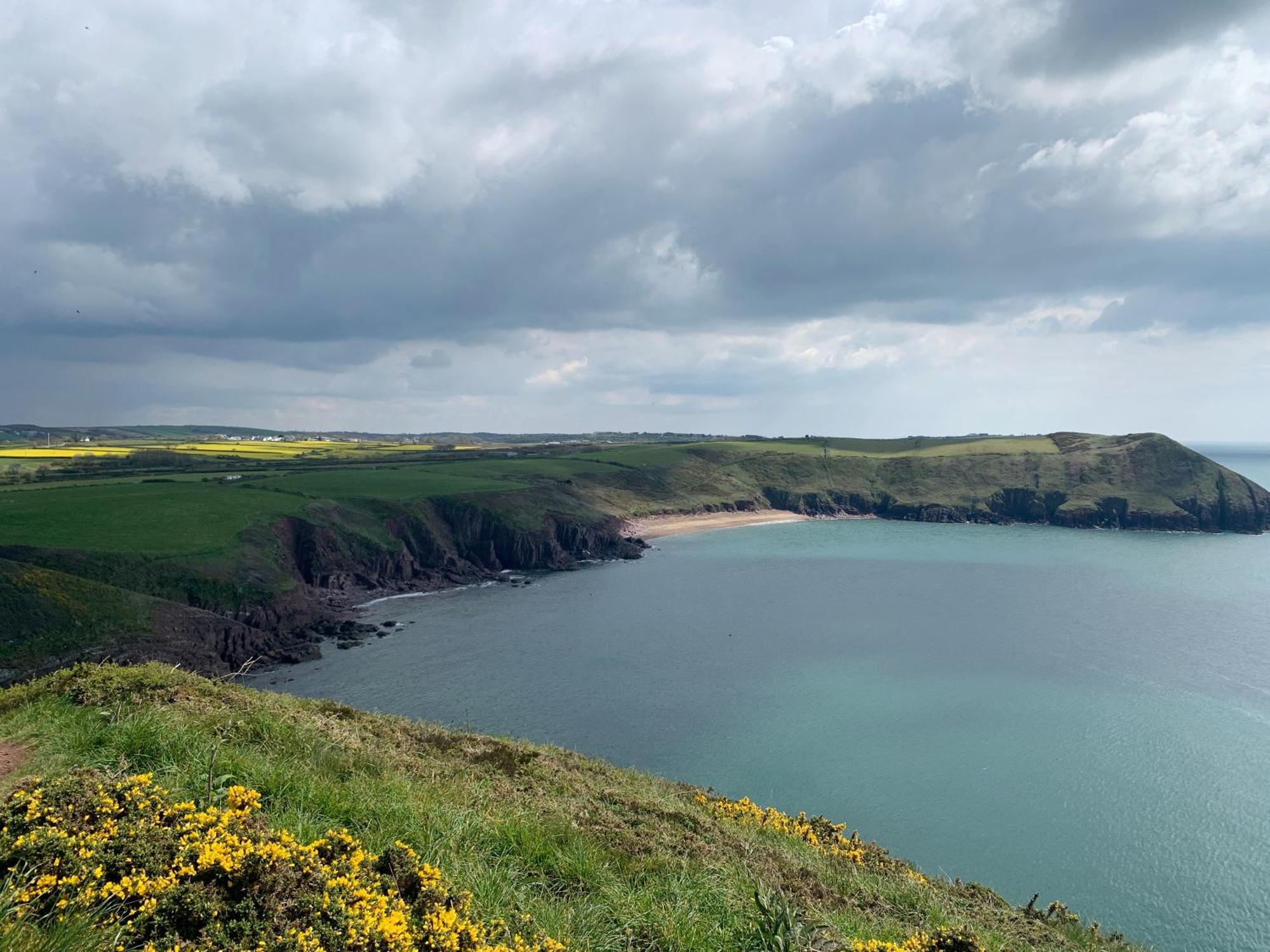 Woods Coastal Path * Hodgeston