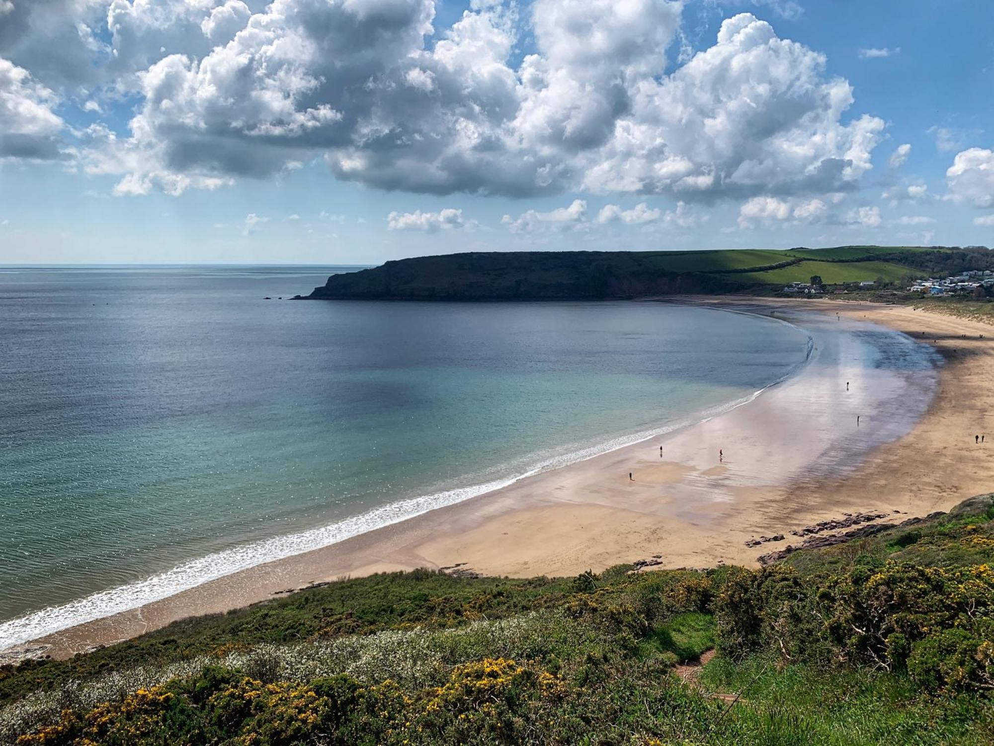 Woods Coastal Path Hodgeston