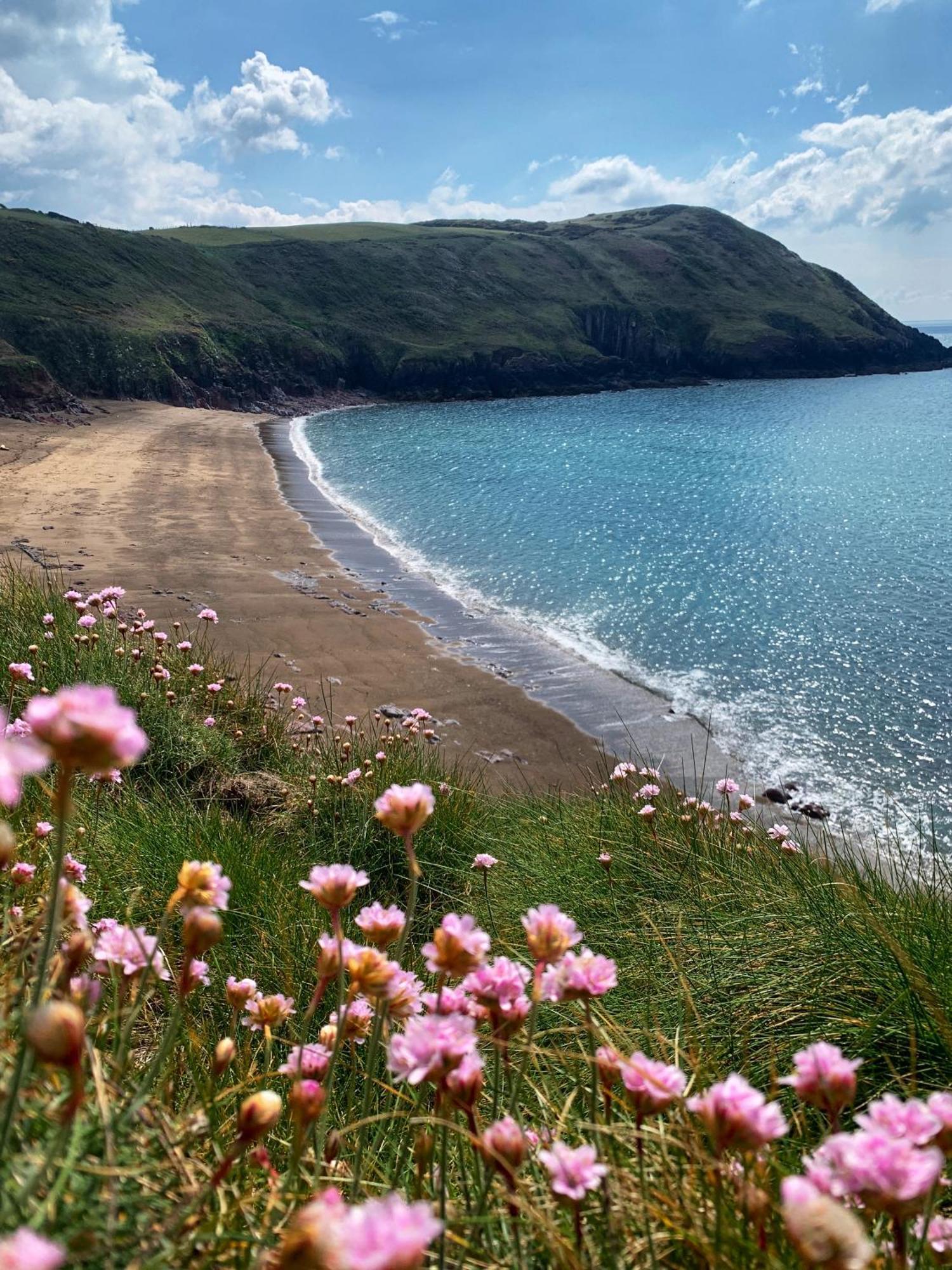 Holiday home Woods Coastal Path *